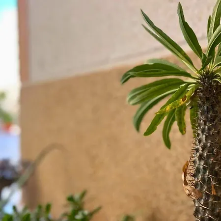 Апартаменти Charming Flat With Swimming Pool 500 M From Playa Del Cura! Торрев'єха