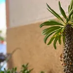 Διαμέρισμα Charming Flat With Swimming Pool 500 M From Playa Del Cura! Τορεβιέχα