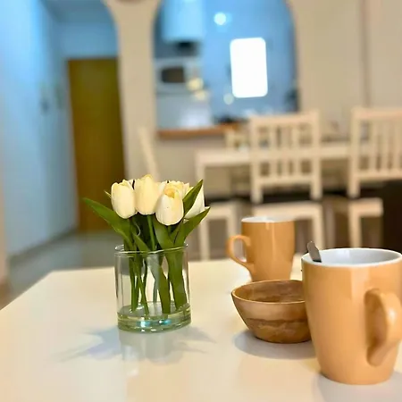 Charming Flat With Swimming Pool 500 M From Playa Del Cura! Appartement Torrevieja